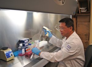Research Associate Yi Jing Working in Laboratory