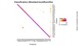 Graphic Showing Machine Learning Classification Results for Binarized isomiR Profiles on TCGA Datasets