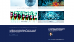 Screenshot of the 2019 Version of the Computational Medicine Center's Website