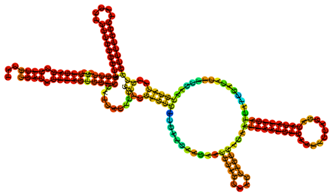 rrna-rrfs-explained-computational-medicine-center-at-thomas